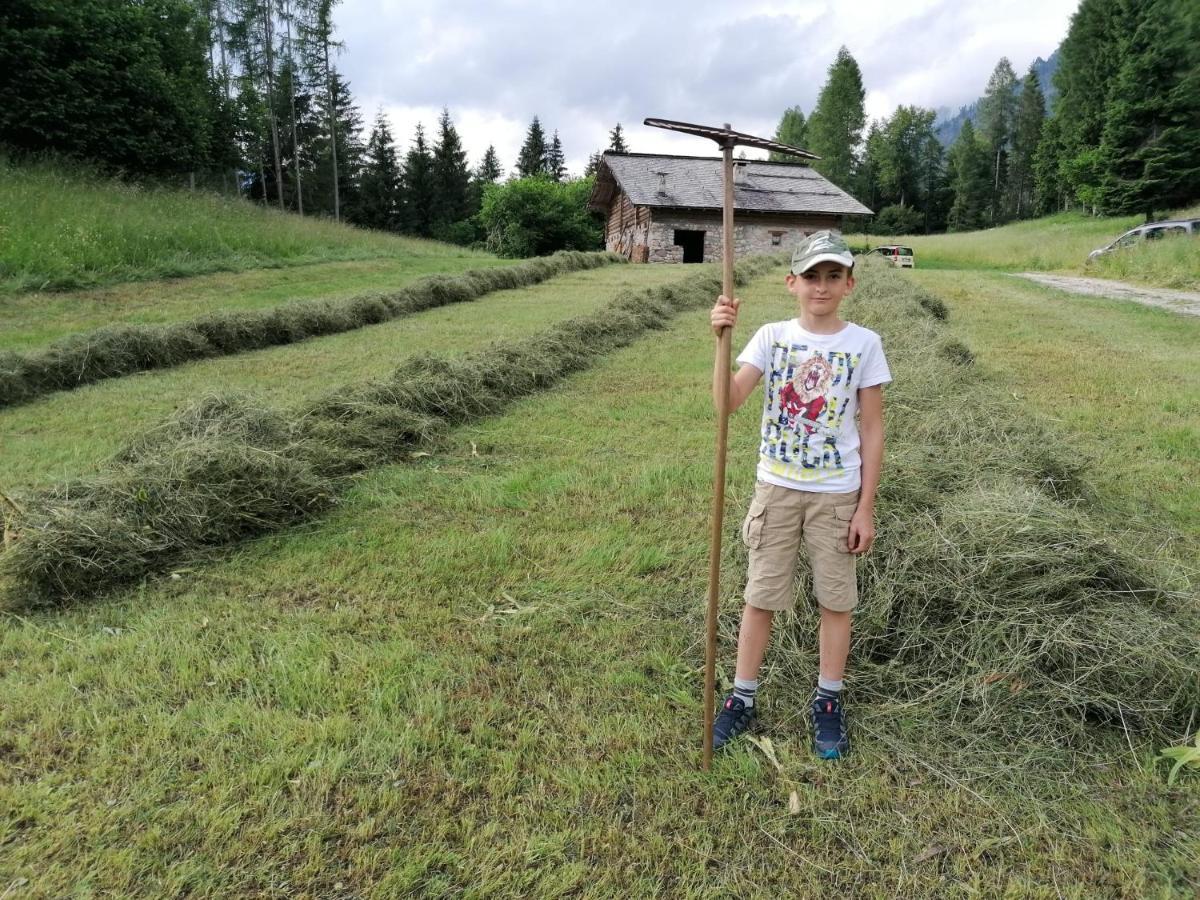 Baita Pra Petina Pale Di San Martino Siror Kültér fotó