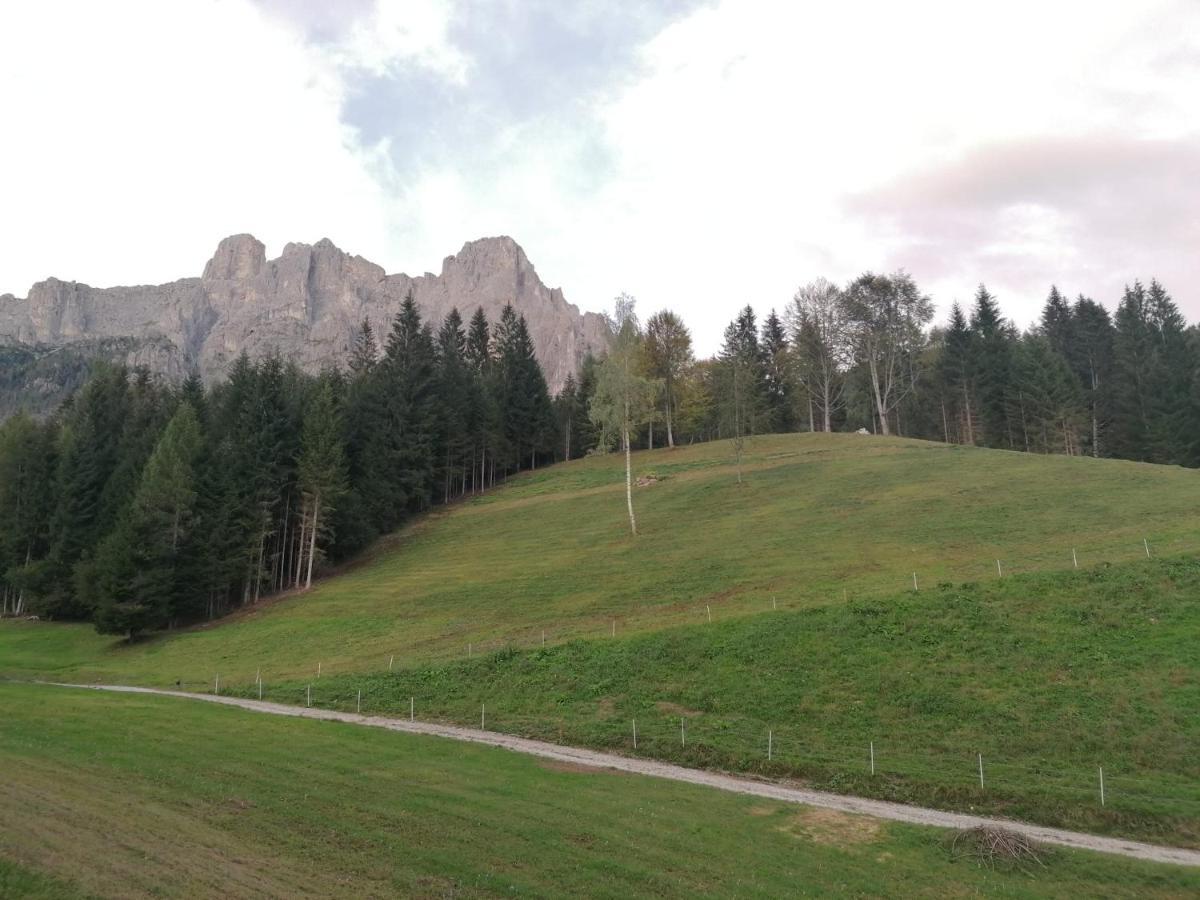 Baita Pra Petina Pale Di San Martino Siror Kültér fotó