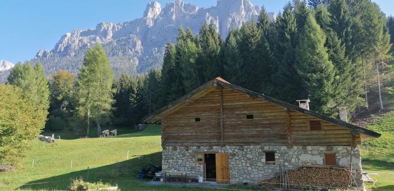 Baita Pra Petina Pale Di San Martino Siror Kültér fotó