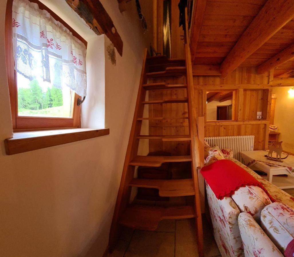 Baita Pra Petina Pale Di San Martino Siror Kültér fotó